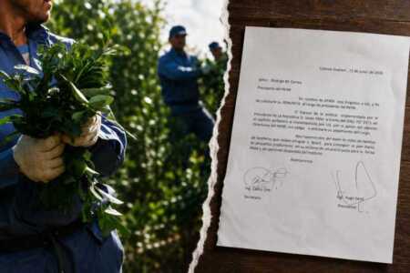 La Asociación de Productores Agropecuarios de Misiones solicitó formalmente la renuncia de Rodrigo Correa y cuestionó el rumbo del Instituto Nacional de la Yerba Mate.