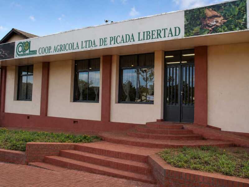 Crisis en la Cooperativa Picada Libertad: denuncian meses de salarios impagos y advierten que la entidad es “inviable” Ramón Zabala aseguró que la cooperativa acumula deudas con trabajadores, colonos y proveedores, y cuestionó la falta de respuestas de la conducción.
