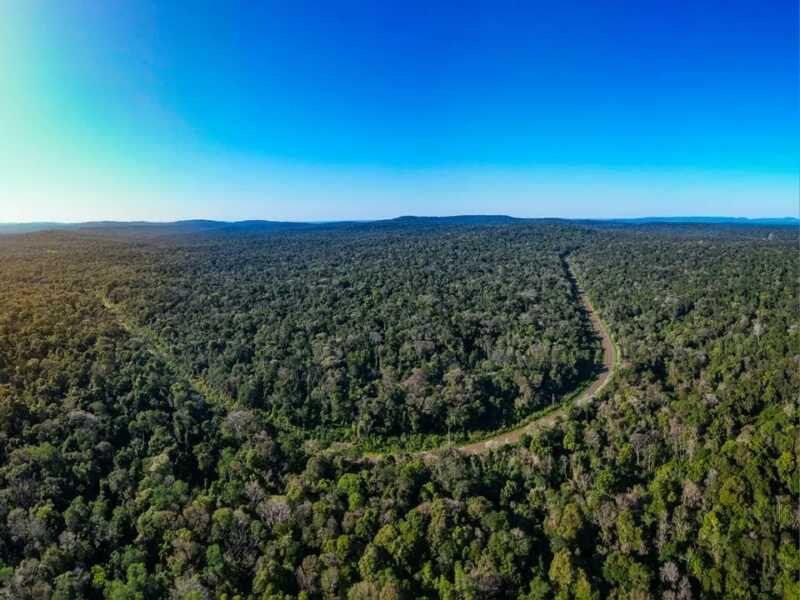 Misiones y los créditos de carbono: qué son y por qué la provincia logró una certificación inédita 8 creditos de carbono 1 - 7