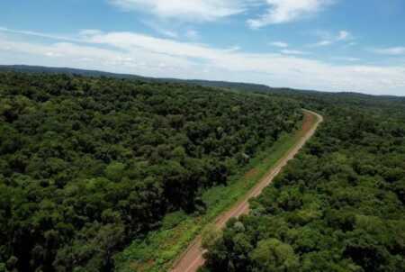 Misiones realizará un taller en Puerto Esperanza para explicar cómo se distribuirán los beneficios económicos derivados de los créditos de carbono.