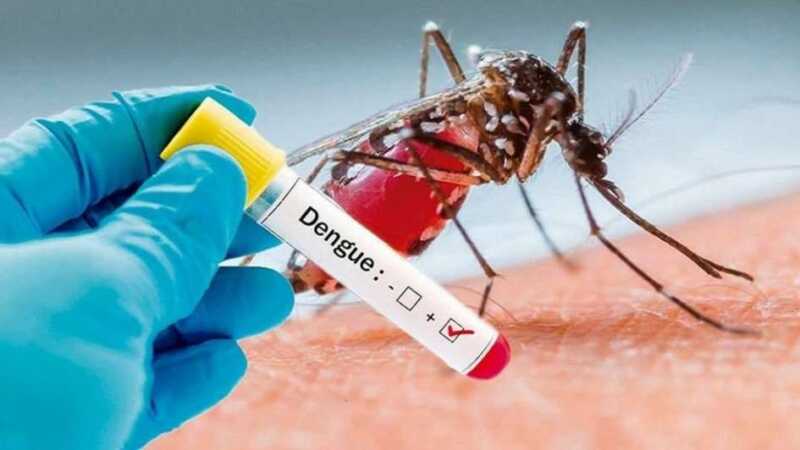 Alerta por dengue: el mundo enfrenta un récord de casos y refuerza la vacunación dengue