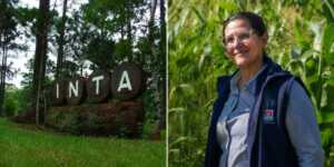 Retiros voluntarios y ajuste en el INTA: alertan por vaciamiento e impacto en la producción de Misiones La secretaria general de APINTA, Silvina Fariza, alertó sobre la salida de 43 trabajadores del INTA en Misiones y advirtió que el ajuste podría profundizarse con nuevos recortes.
