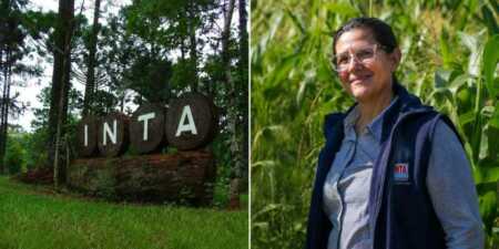 Retiros voluntarios y ajuste en el INTA: alertan por vaciamiento e impacto en la producción de Misiones La secretaria general de APINTA, Silvina Fariza, alertó sobre la salida de 43 trabajadores del INTA en Misiones y advirtió que el ajuste podría profundizarse con nuevos recortes.