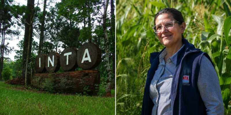 Retiros voluntarios y ajuste en el INTA: alertan por vaciamiento e impacto en la producción de Misiones La secretaria general de APINTA, Silvina Fariza, alertó sobre la salida de 43 trabajadores del INTA en Misiones y advirtió que el ajuste podría profundizarse con nuevos recortes.