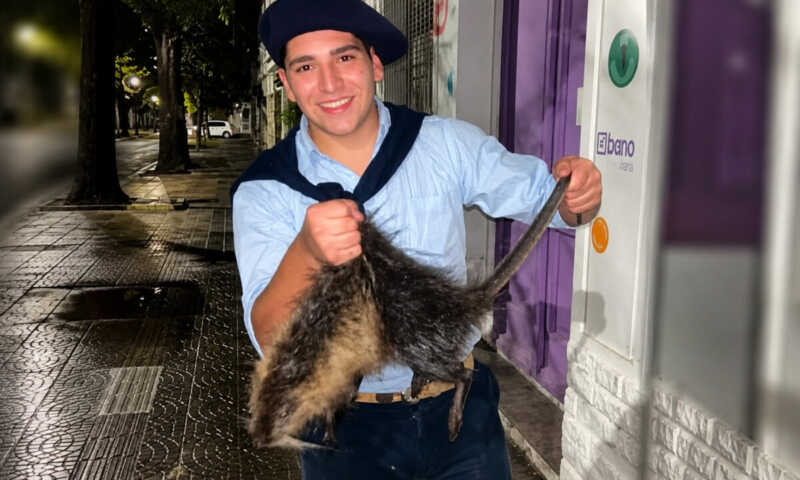 Un video viral expuso un brutal caso de maltrato animal en Bahía Blanca maltratoanimal - 2