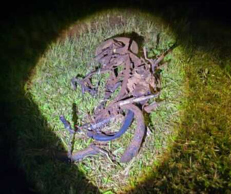 El siniestro ocurrió cerca de la medianoche sobre la Ruta Nacional 12, a la altura del kilómetro 1.443. La víctima falleció en el lugar a raíz de las graves lesiones sufridas.