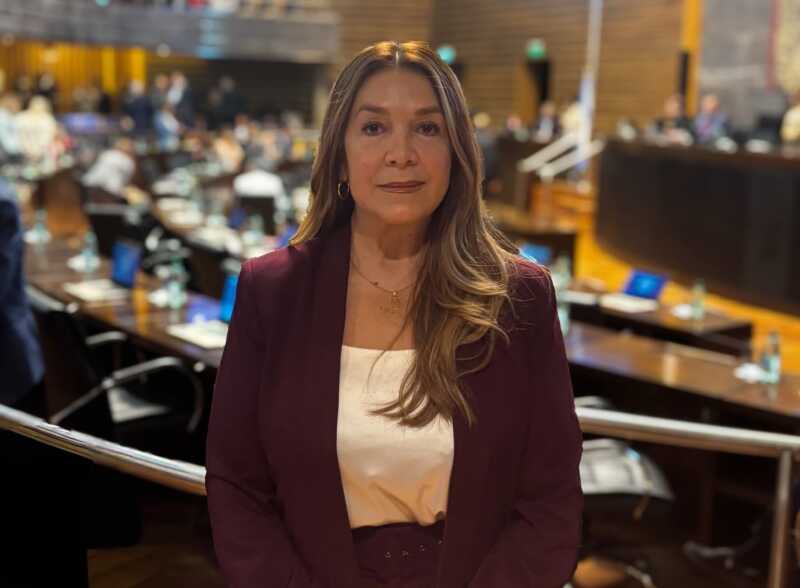 Nelli Guerrero fuera del bloque Libertad Avanza en Misiones: “Necesito enfocarme más en mi provincia” nelli guerrero lla misiones