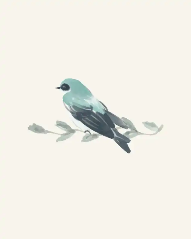 nido pajaro rama crema - 2