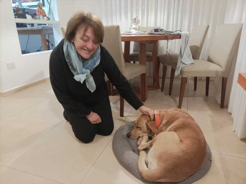 Una familia para Rocco: vecinos de la Chacra 171 en Posadas impulsan su adopción responsable 3 perro rocco 3 - 2