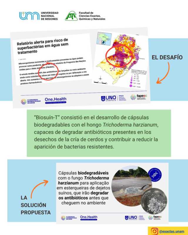 Estudiantes de la UNaM desarrollaron proyecto de biorremediación y ganaron hackathon en Brasil