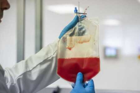 Argentina suma un nuevo tratamiento para uno de los cánceres de sangre más frecuentes Argentina cáncer