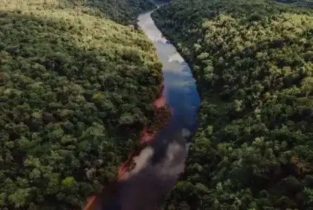 Misiones iniciará en agosto jornadas informativas sobre el Programa Jurisdiccional de Créditos de Carbono venta de carbono
