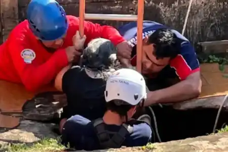 Bomberos