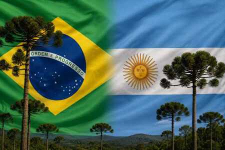 Posadas será sede del V Seminario Binacional de Sustentabilidad de Araucaria en 2027 Araucaria