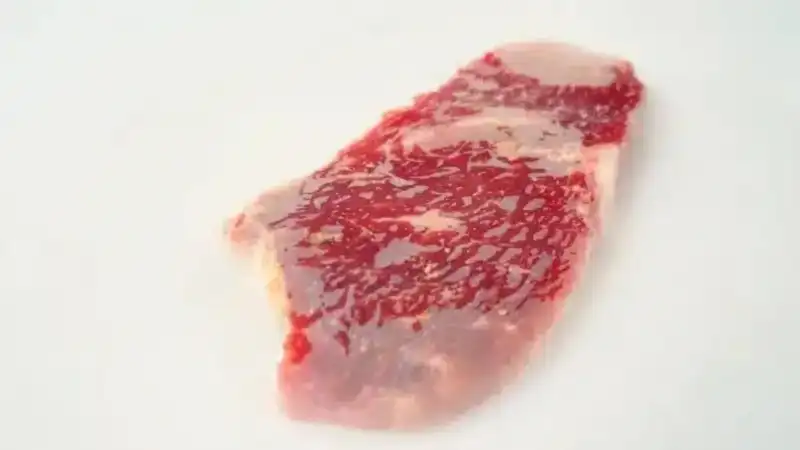 INTA desarrolló envases compostables para carne vacuna que podrían reemplazar al plástico de un solo uso 3 El nuevo desarrollo del INTA propone envases compostables para carne vacuna que mantienen la calidad del producto y reducen el uso de plásticos tradicionales.