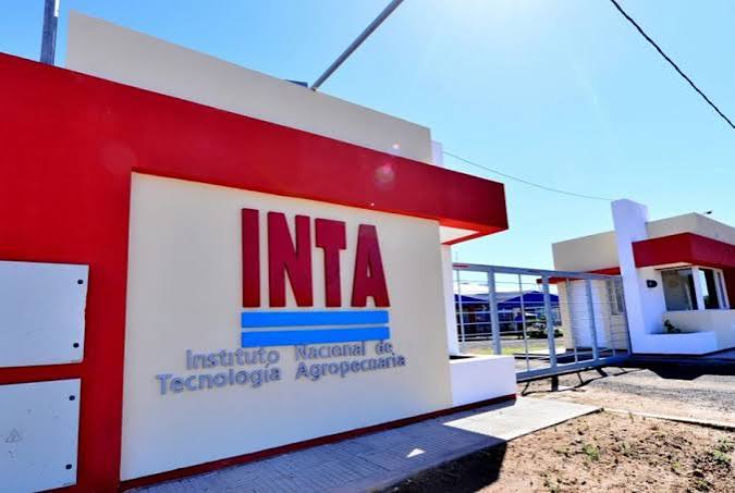 INTA desarrolló envases compostables para carne vacuna que podrían reemplazar al plástico de un solo uso 2 El nuevo desarrollo del INTA propone envases compostables para carne vacuna que mantienen la calidad del producto y reducen el uso de plásticos tradicionales.