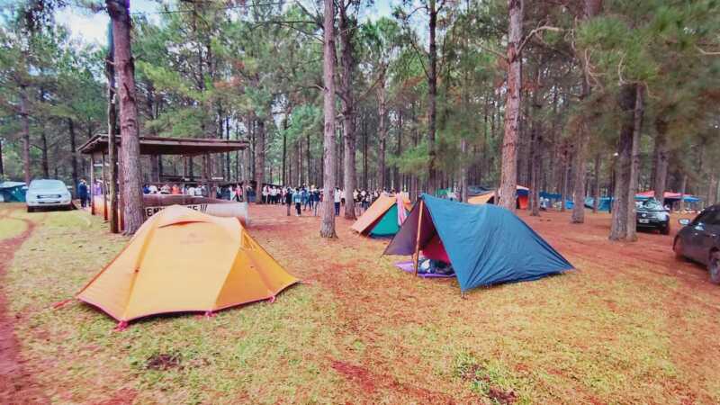Más de 360 scouts de Misiones participan del Campamento Zonal en Bonpland 3 Scouts Misiones