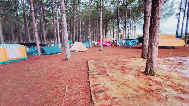 Más de 360 scouts de Misiones participan del Campamento Zonal en Bonpland 1 Scouts Misiones