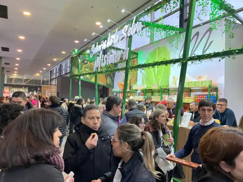 Misiones promocionará su oferta turística y productos regionales en Caminos y Sabores 2026 Misiones mostrará su identidad productiva y gastronómica durante la feria Caminos y Sabores en Buenos Aires.