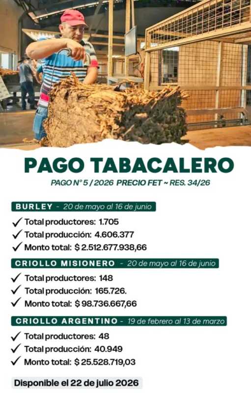 Más de 1.900 productores tabacaleros cobrarán el FET: la Provincia abonará más de $2.636 millones 3 WhatsApp Image 2026 07 17 at 16.31.12 - 2