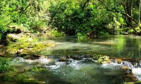 ley de tierras
