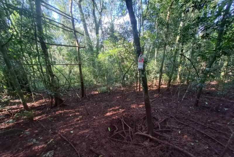 Desmantelaron un campamento clandestino y secuestraron un rifle y dos motocicletas en un operativo contra la caza furtiva 2 WhatsApp Image 2026 07 31 at 19.17.40 2 - 1