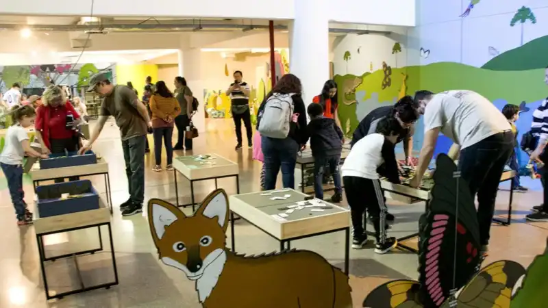 Ciencia, arte y tecnología se combinan en una programación pensada para todas las edades.