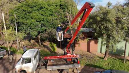 Energía de Misiones despejó más de cien kilómetros de líneas troncales en Posadas Energía de Misiones Posadas