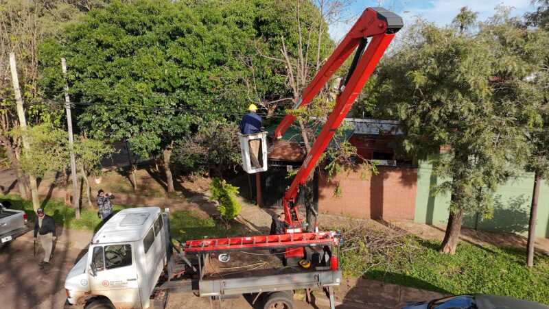 Energía de Misiones despejó más de cien kilómetros de líneas troncales en Posadas Energía de Misiones Posadas