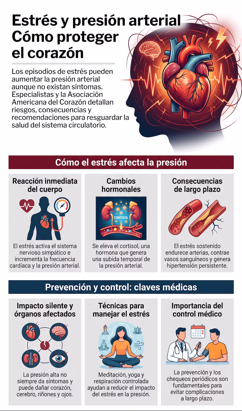 El estrés puede elevar la presión arterial y aumentar el riesgo de enfermedades cardiovasculares 3 Estrés e hipertensión: advierten sobre los riesgos para la salud cardiovascular
