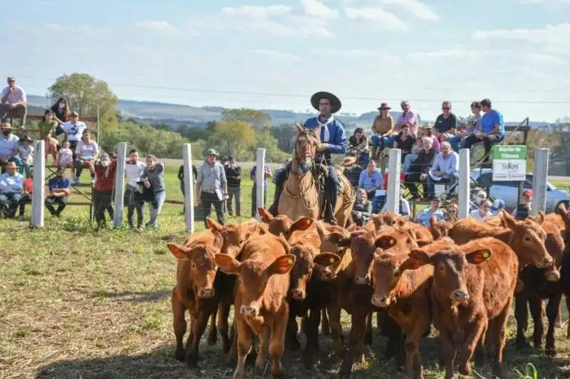 La Expo Rural 2026 llega con novedades: más de 50 expositores, genética de elite y una fiesta para toda la familia expo rural 2026 misiones