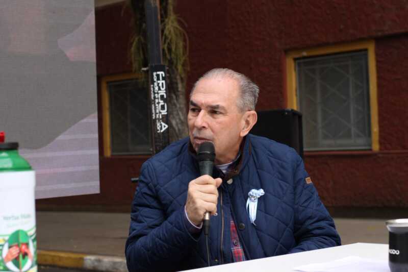 lalo stelatto