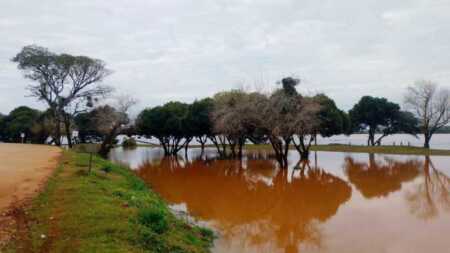 "Mañana podríamos comenzar las evacuaciones": El Soberbio, en alerta por la crecida del río Uruguay riouruguaycrecida - 4