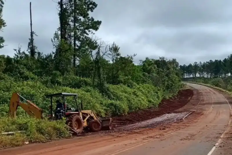 Vialidad Provincial realiza tareas de limpieza y mantenimiento sobre la ruta 17 entre Eldorado y Pozo Azul eldorado vialidad