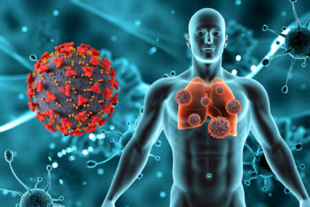 Virus respiratorios: notificaron más de 77.000 casos de neumonía y 56.000 de bronquiolitis en Argentina virus respiratorios - 6