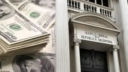 El BCRA redujo la compra de divisas y prioriza la estabilidad del dólar BCRA DOLAR