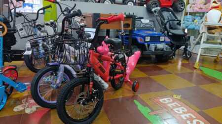 Muñecas, ladrillitos, autos a control remoto, bicicletas y monopatines aparecen entre los regalos más buscados.