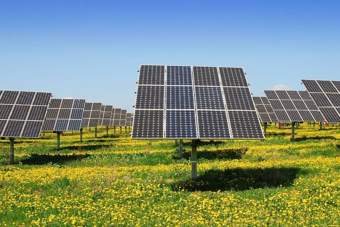 Misiones aprobó un nuevo parque solar en Aristóbulo del Valle: tendrá más de 18 mil paneles y abastecerá a la zona centro 4 Energia 1 1 - 3