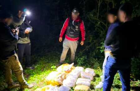 Incautaron 37 kilos de marihuana valuados en más de $137 millones en Jardín América Marihuana América