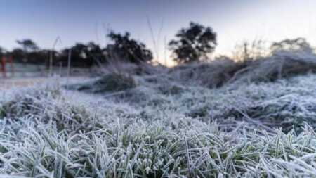Misiones tendrá un domingo frío con mínimas de hasta 4°C y riesgo de heladas Misiones