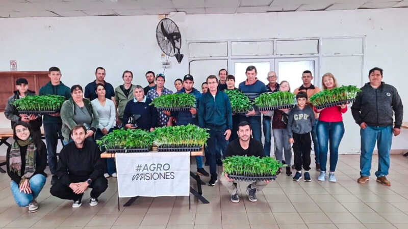 Misiones Pimiento