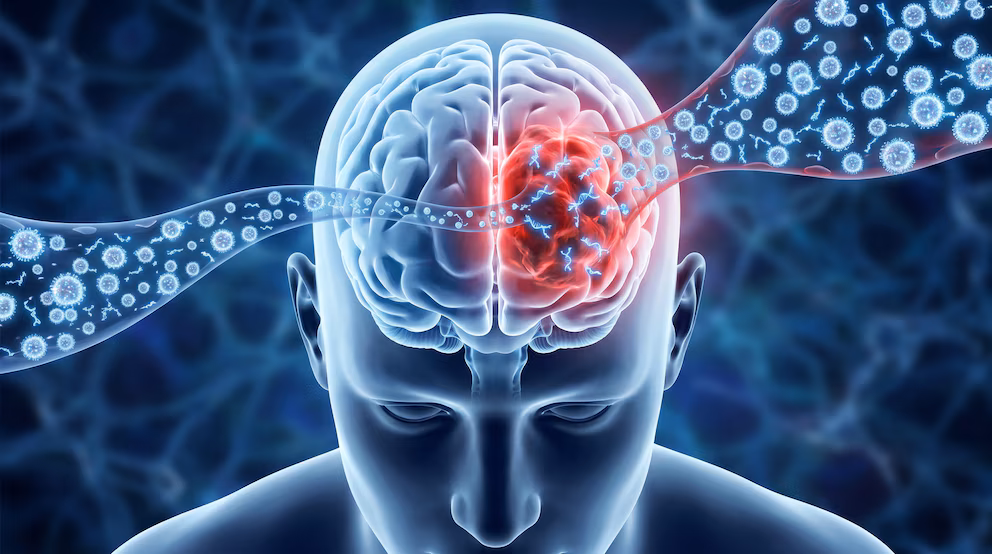 Nanopartículas activadas por luz podrían mejorar la cirugía contra el glioblastoma 1 Nano