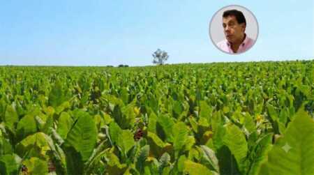 Carlos Pereira, subsecretario del Tabaco de Misiones, advirtió por la caída de los recursos del FET y reclamó el cumplimiento de los aportes empresariales.