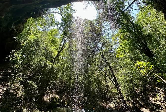 Créditos de carbono: Misiones explicará en Puerto Esperanza cómo se distribuirán los beneficios económicos 1 Misiones realizará un taller en Puerto Esperanza para explicar cómo se distribuirán los beneficios económicos derivados de los créditos de carbono.