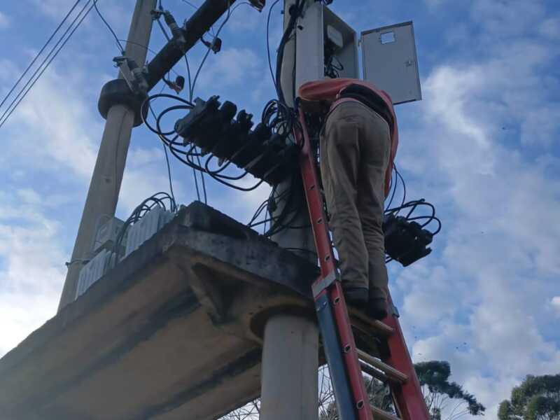 Terciados Paraíso fortalece su red eléctrica con nueva subestación de Energía de Misiones energia terciados