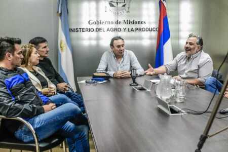 Emergencia yerbatera: avanza el proyecto de ley para fijar un precio sostén ley de emergencia yerbatera