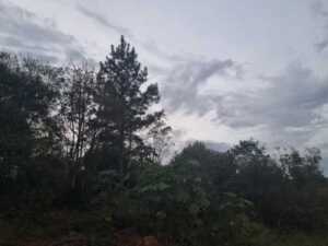 Misiones tendrá una semana de temperaturas en ascenso y regreso de la inestabilidad WhatsApp Image 2026 08 04 at 18.30.09 - 2