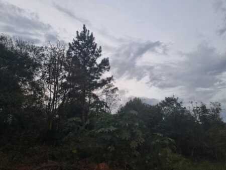 Misiones tendrá una semana de temperaturas en ascenso y regreso de la inestabilidad WhatsApp Image 2026 08 04 at 18.30.09 - 3