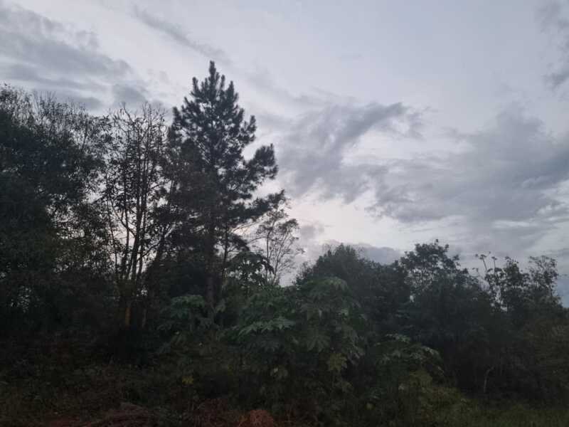 Fin de semana inestable en Misiones: lluvias, tormentas y descenso térmico 3 Sábado 29: chaparrones por la mañana y mejora por la tarde en Misiones