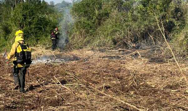 Incendio de malezas en Santo Pipó fue controlado sin heridos ni daños materiales WhatsApp Image 2026 08 17 at 19.03.18 e1787004350880 - 2
